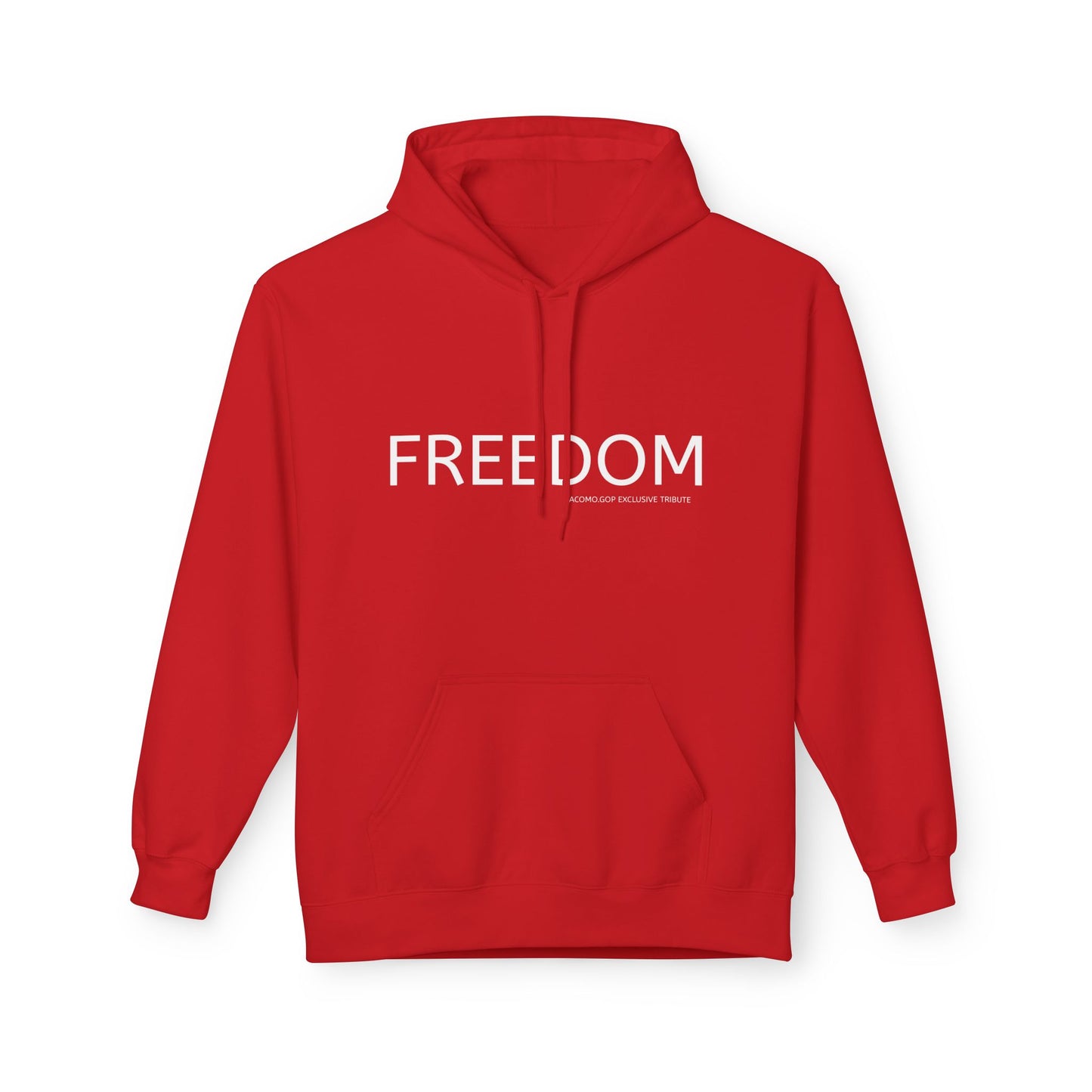 FREEDOM Patriotic Faith Hoodie, Unisex Inspirational Sweatshirt, Tribute Gift, Freedom Apparel, Motivational Hoodie