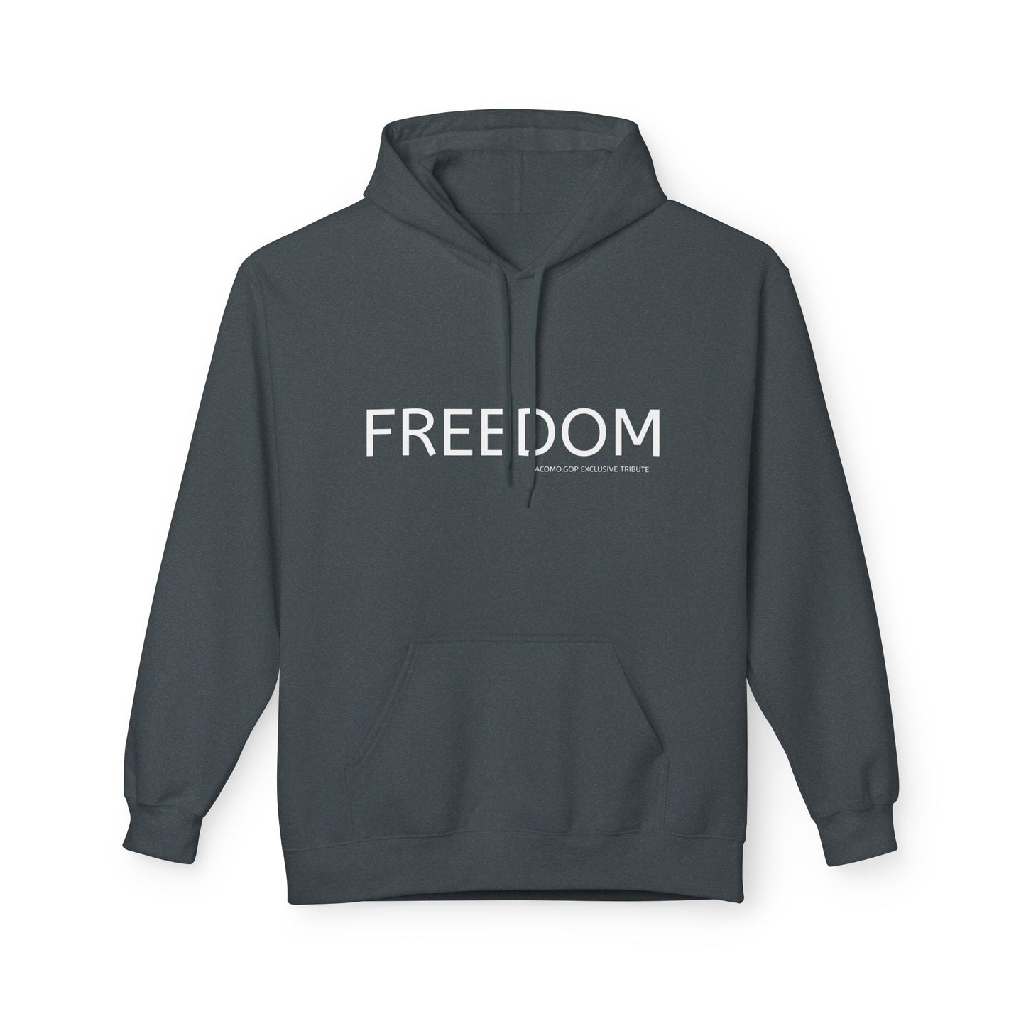 FREEDOM Patriotic Faith Hoodie, Unisex Inspirational Sweatshirt, Tribute Gift, Freedom Apparel, Motivational Hoodie