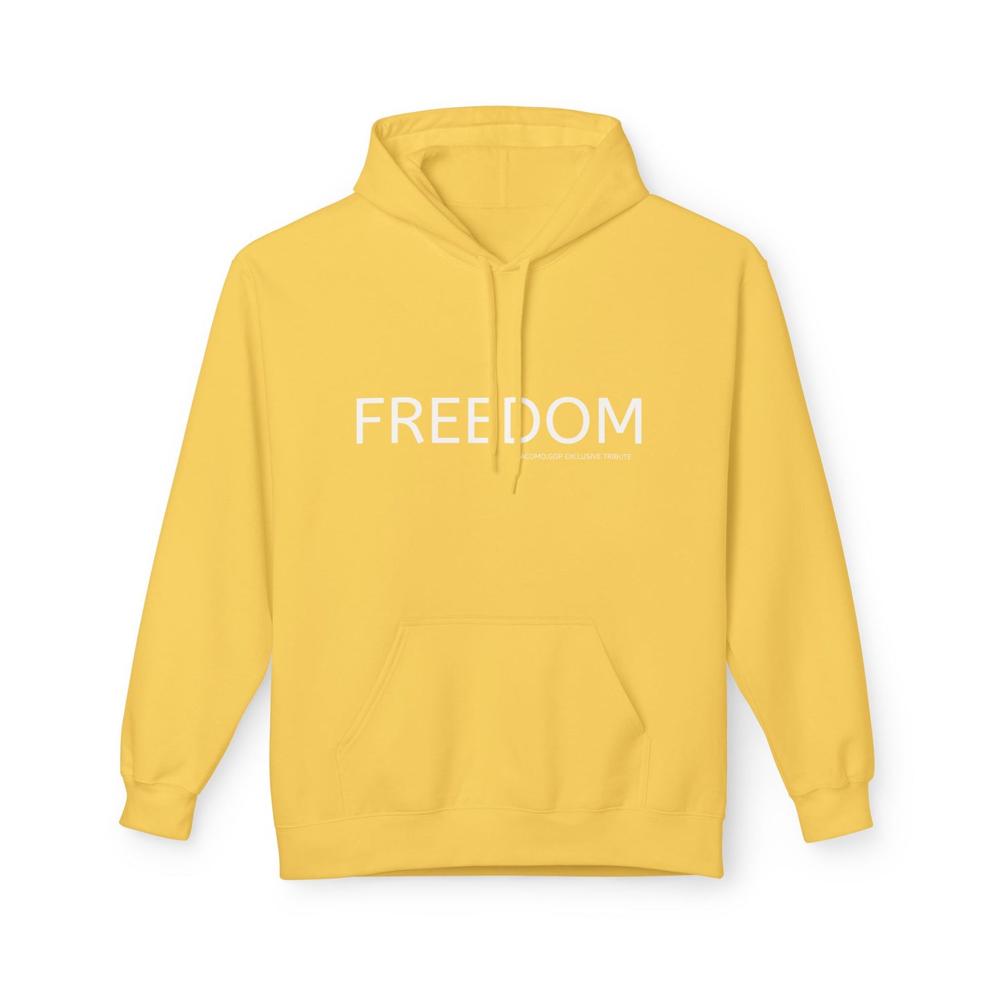 FREEDOM Patriotic Faith Hoodie, Unisex Inspirational Sweatshirt, Tribute Gift, Freedom Apparel, Motivational Hoodie